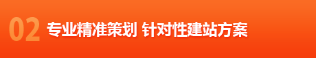 专业精准策划 针对性建站方案